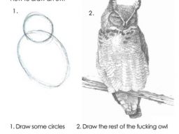 1. Draw some circles. 2. Draw the rest of the fucking owl